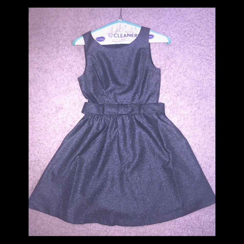 LC Shimmery dress